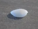 DSCN3198.webp
