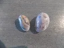 DSCN3202.webp