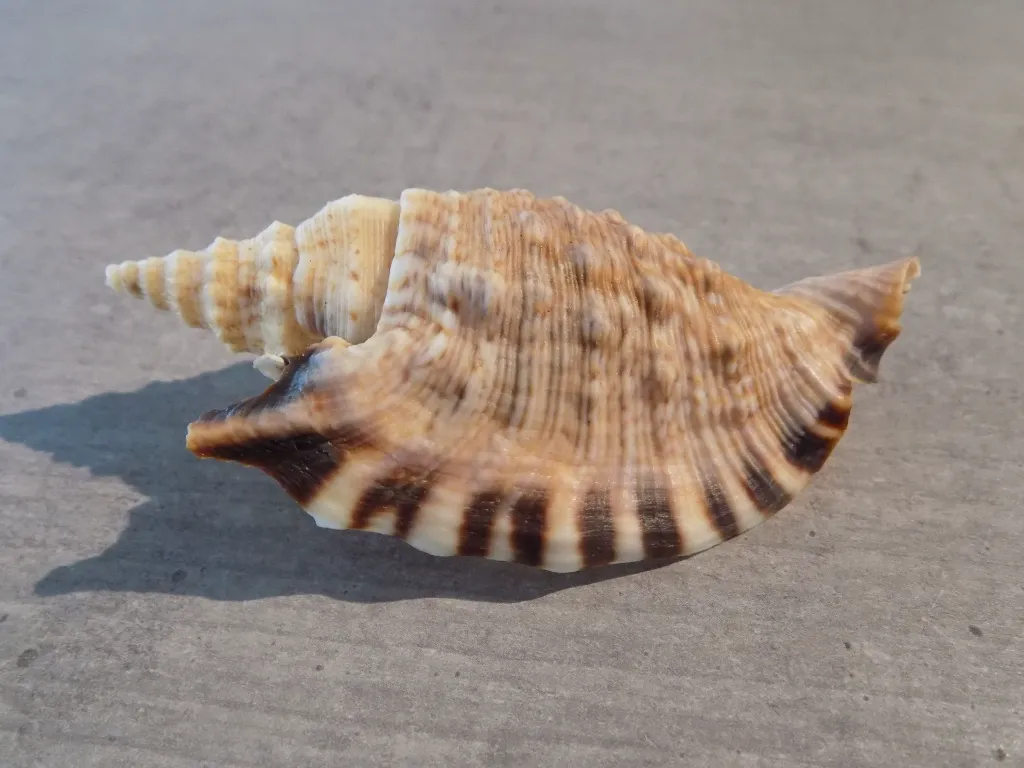 DSCN3044.webp