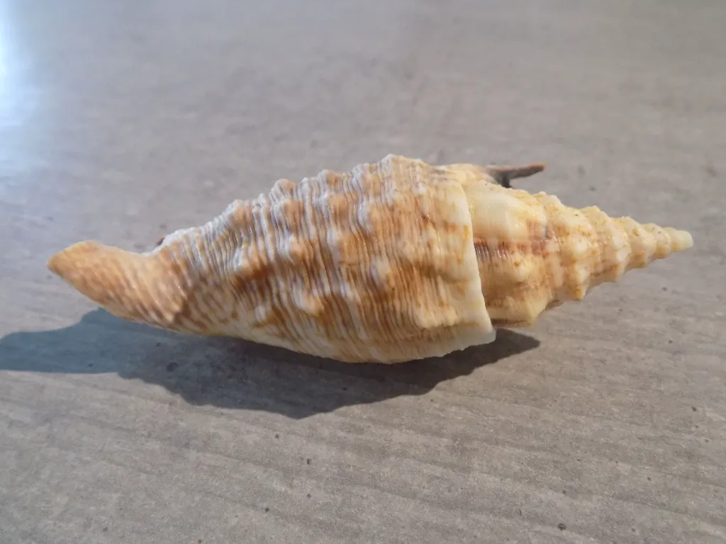 DSCN3045.webp