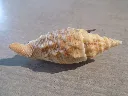DSCN3045.webp