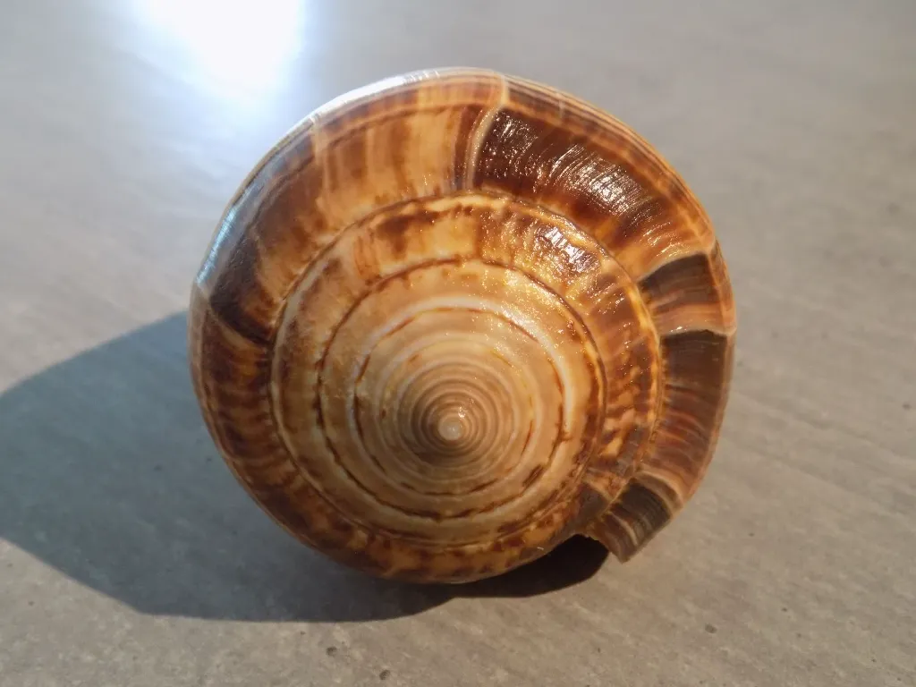 DSCN3247.webp