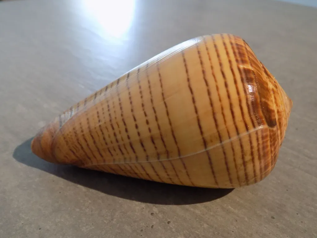 DSCN3248.webp