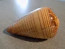 DSCN3248.webp