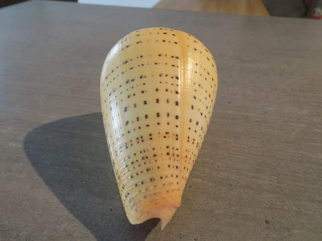 DSCN3242.webp