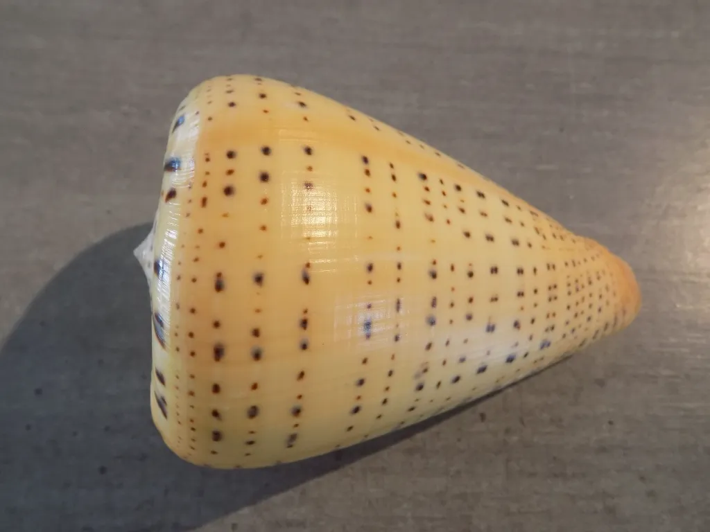 DSCN3244.webp