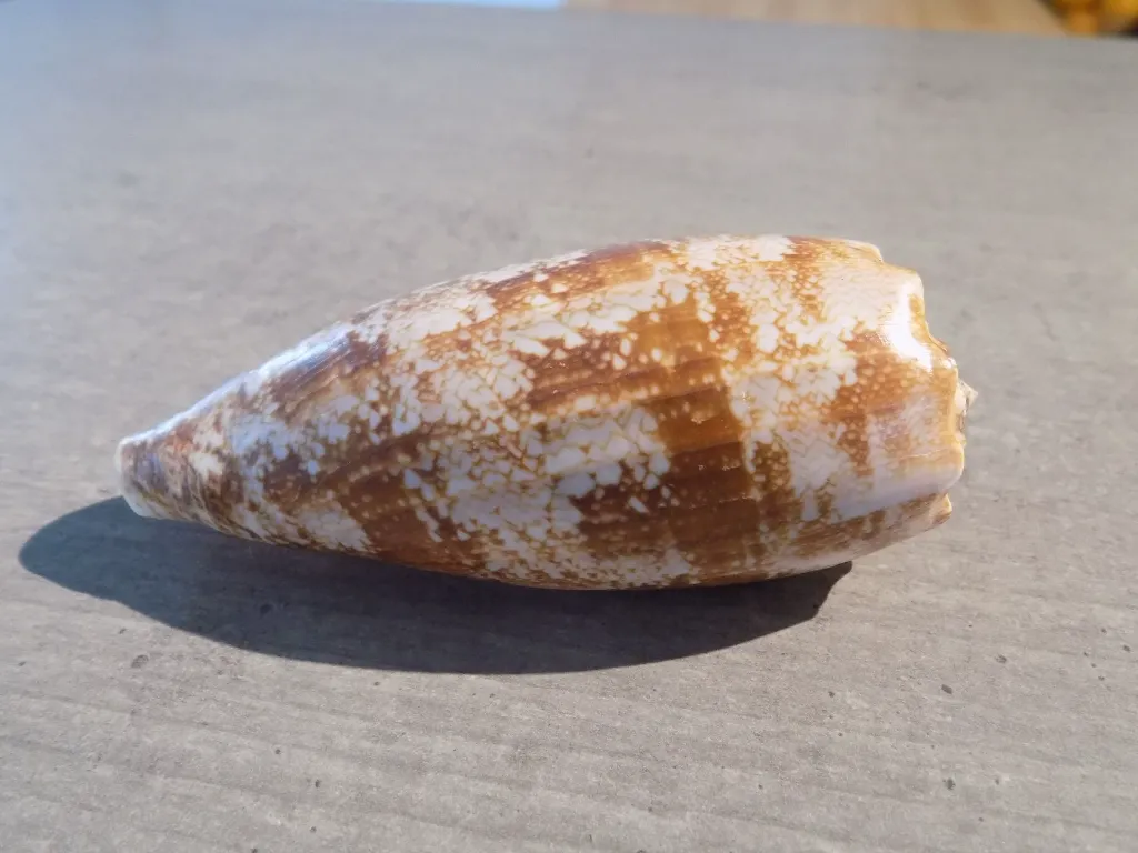 DSCN3253.webp