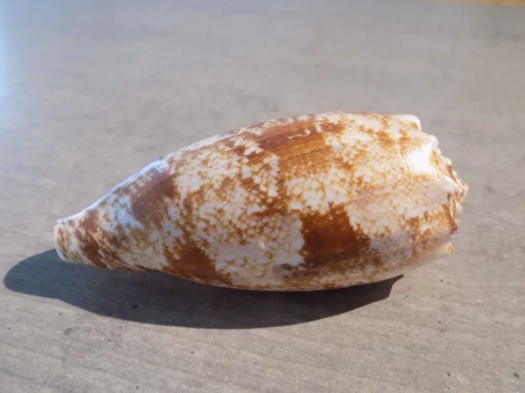 DSCN3257.webp