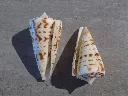 DSCN3269.webp