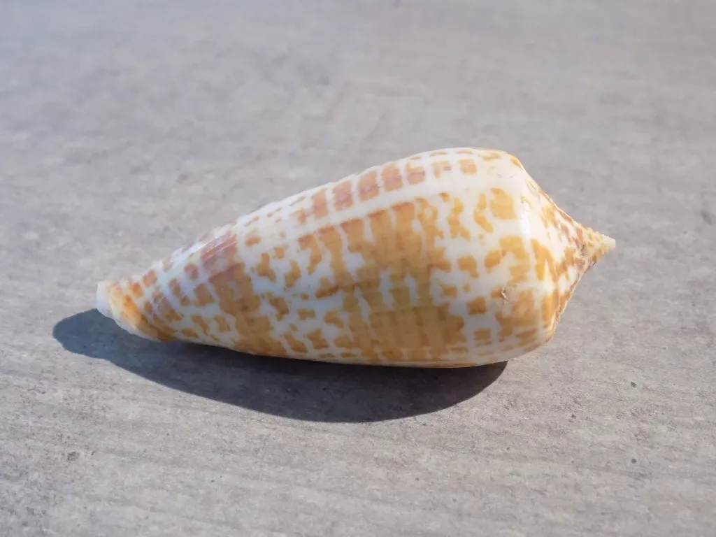 DSCN3261.webp