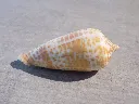DSCN3261.webp