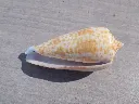 DSCN3262.webp