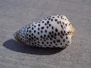 DSCN3276.webp