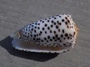 DSCN3277.webp