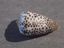 DSCN3279.webp