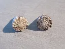 DSCN3282.webp