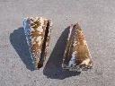 DSCN3284.webp