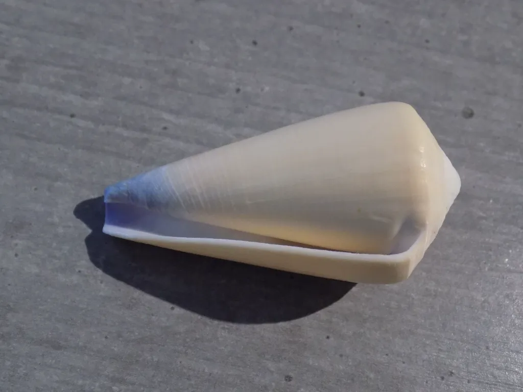 DSCN3287.webp