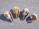 DSCN3292.webp