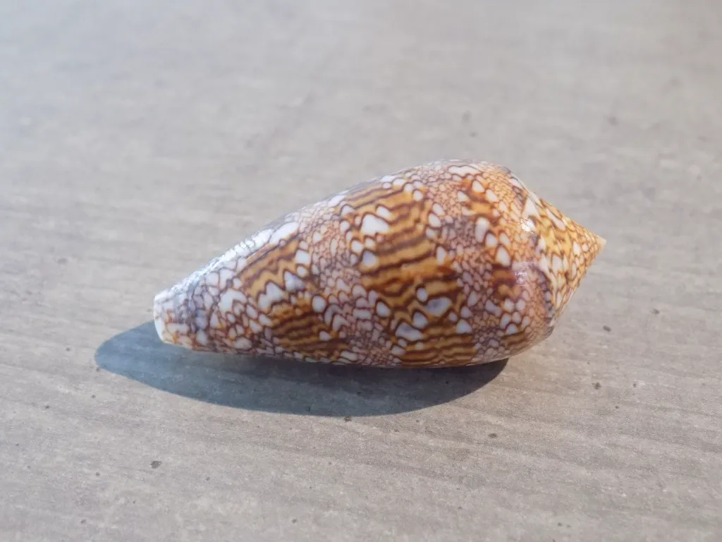DSCN3294.webp