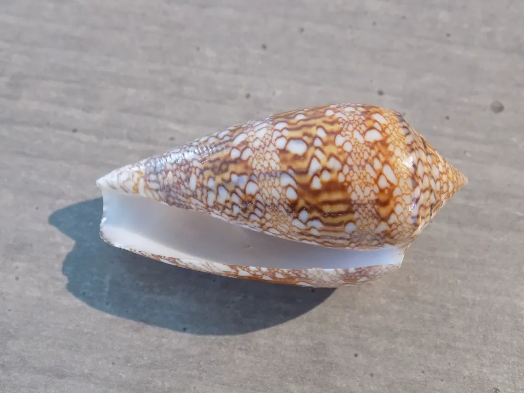 DSCN3295.webp