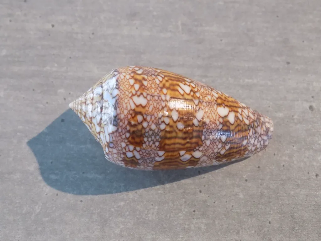 DSCN3297.webp