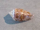 DSCN3297.webp