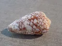 DSCN3303.webp