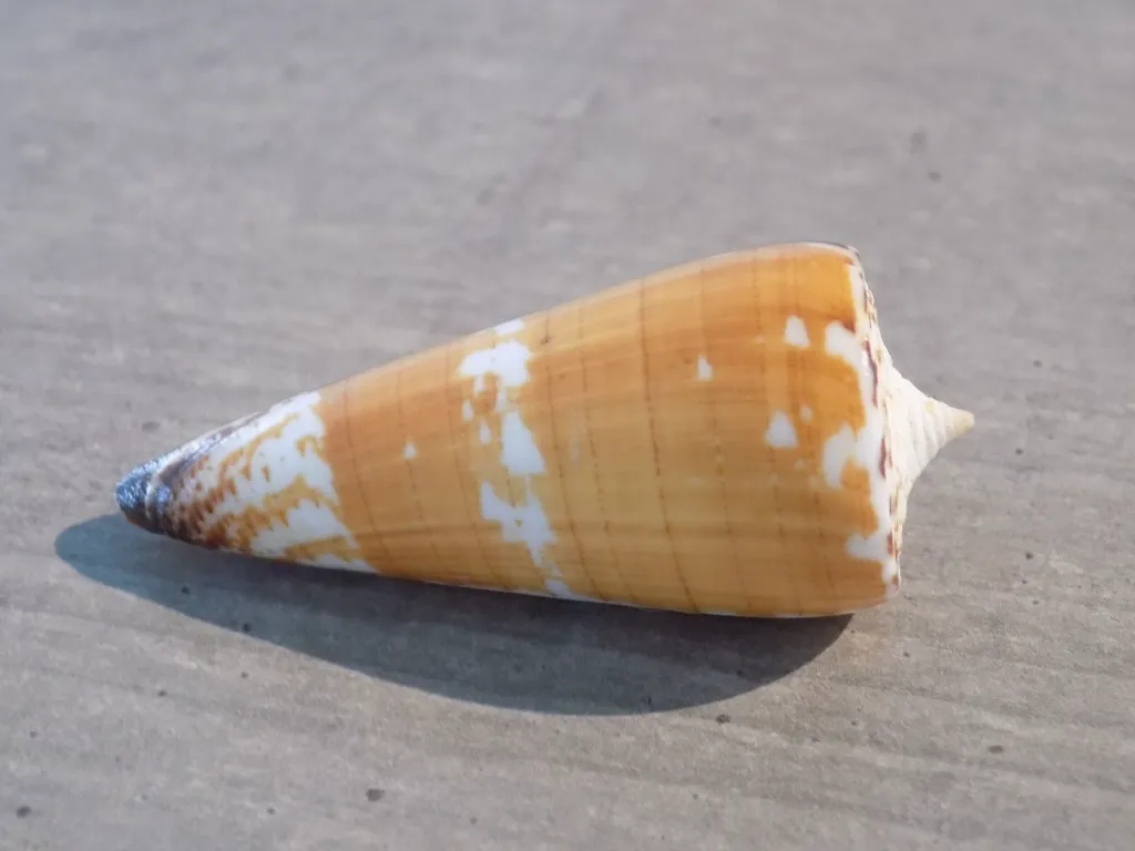 DSCN3315.webp