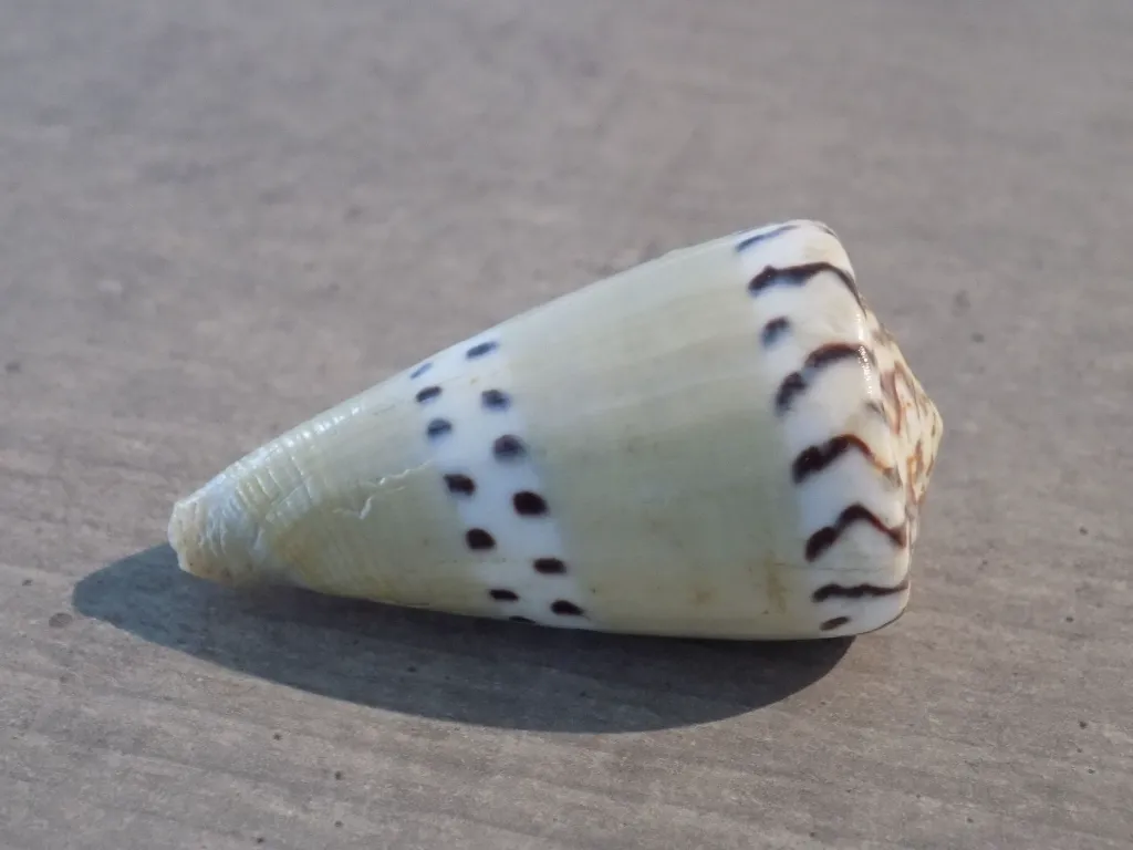 DSCN3320.webp