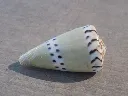 DSCN3320.webp