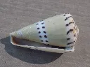 DSCN3321.webp