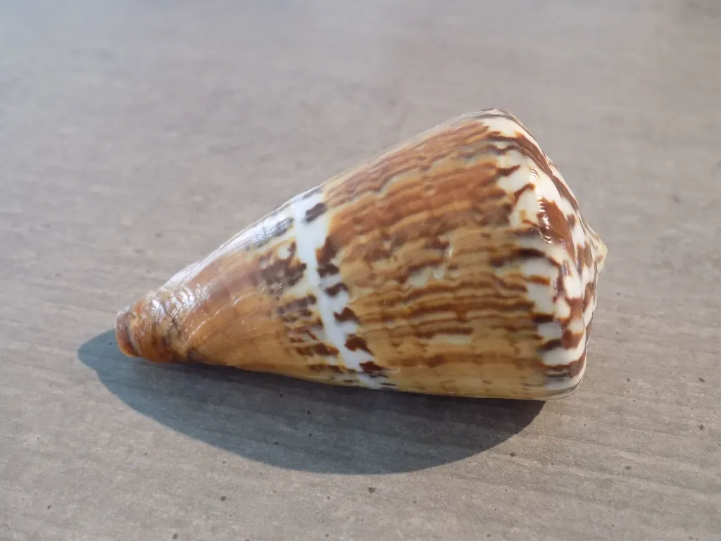 DSCN3324.webp