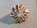 DSCN3326.webp