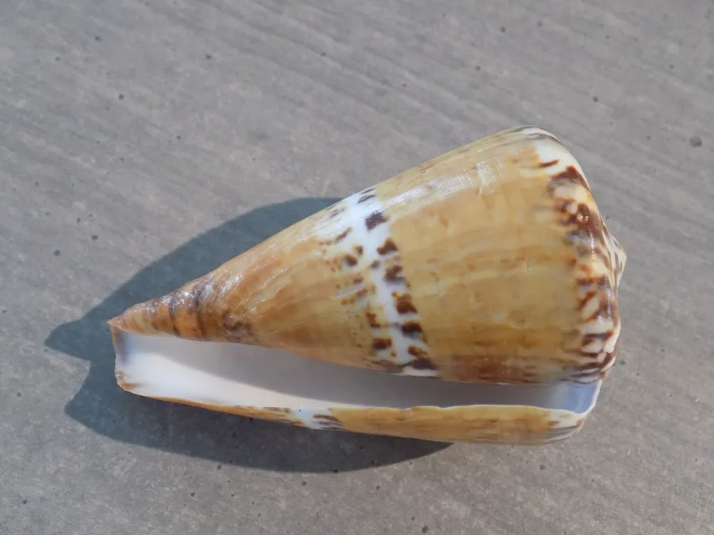 DSCN3327.webp