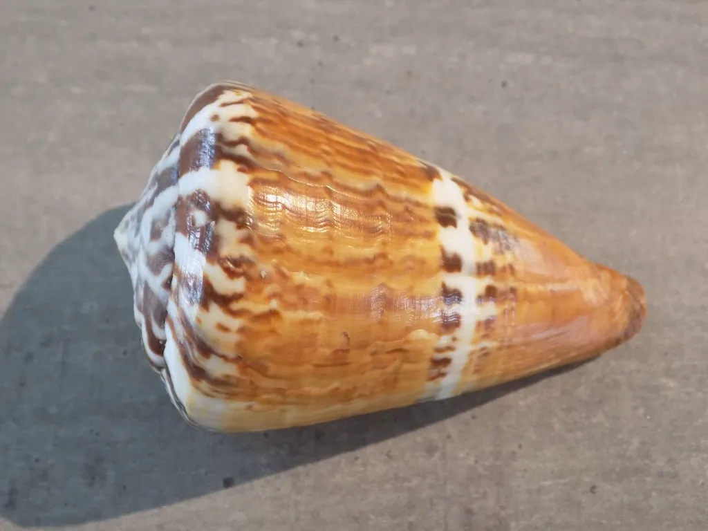 DSCN3328.webp