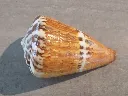 DSCN3328.webp