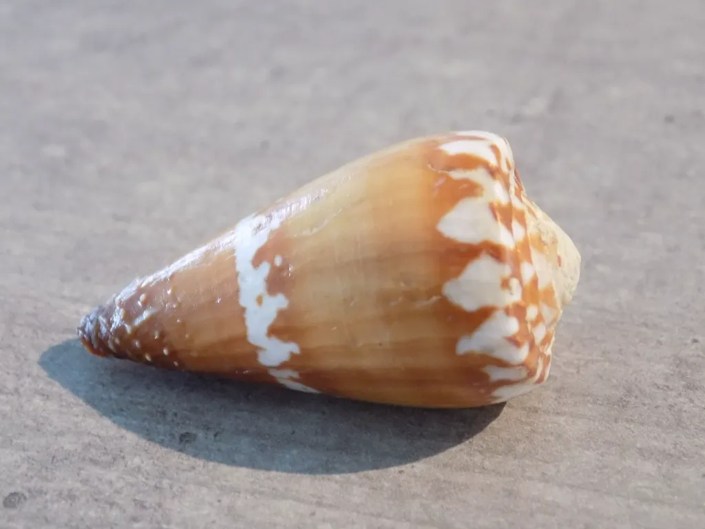 DSCN3330.webp
