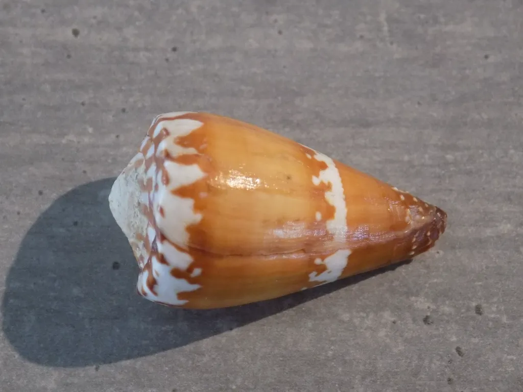 DSCN3332.webp
