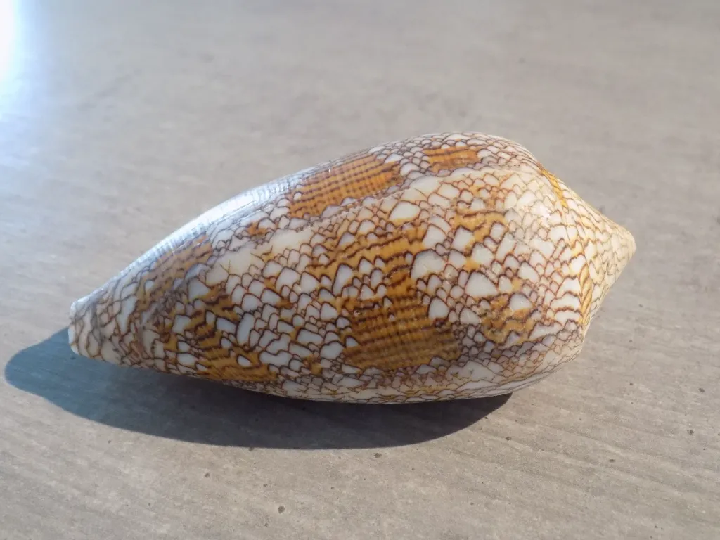 DSCN3362.webp