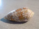 DSCN3362.webp