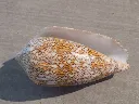 DSCN3363.webp