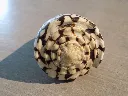 DSCN3345.webp