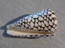DSCN3346.webp