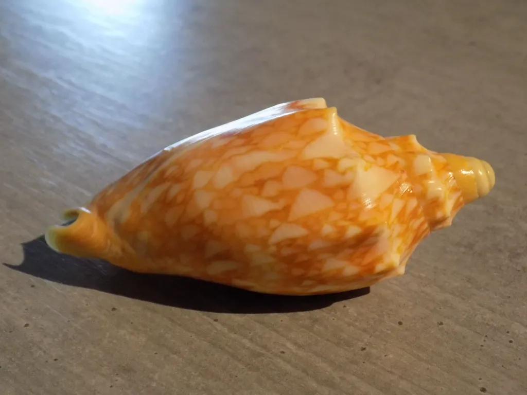 DSCN3366.webp