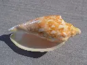 DSCN3368.webp