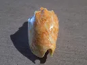 DSCN3370.webp