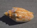 DSCN3372.webp