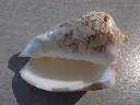 DSCN3378.webp