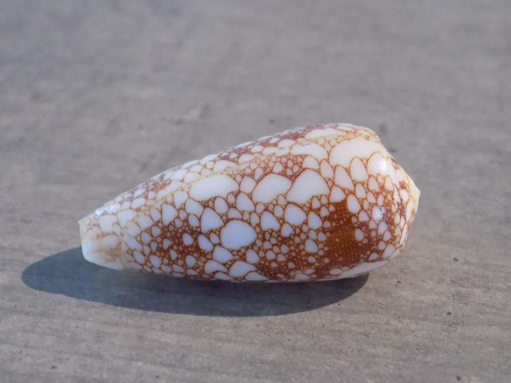 DSCN3389.webp